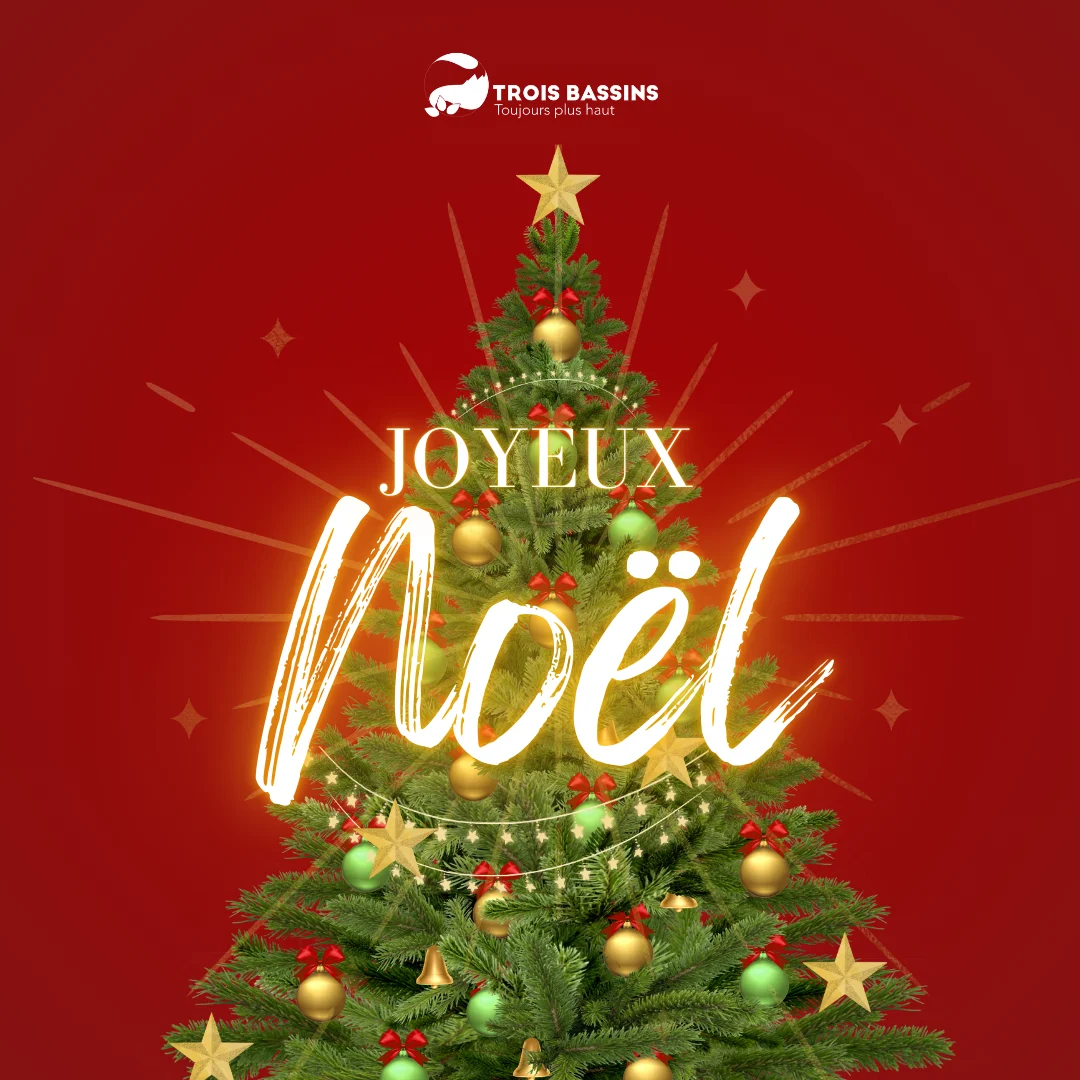 joyeux noël 2025