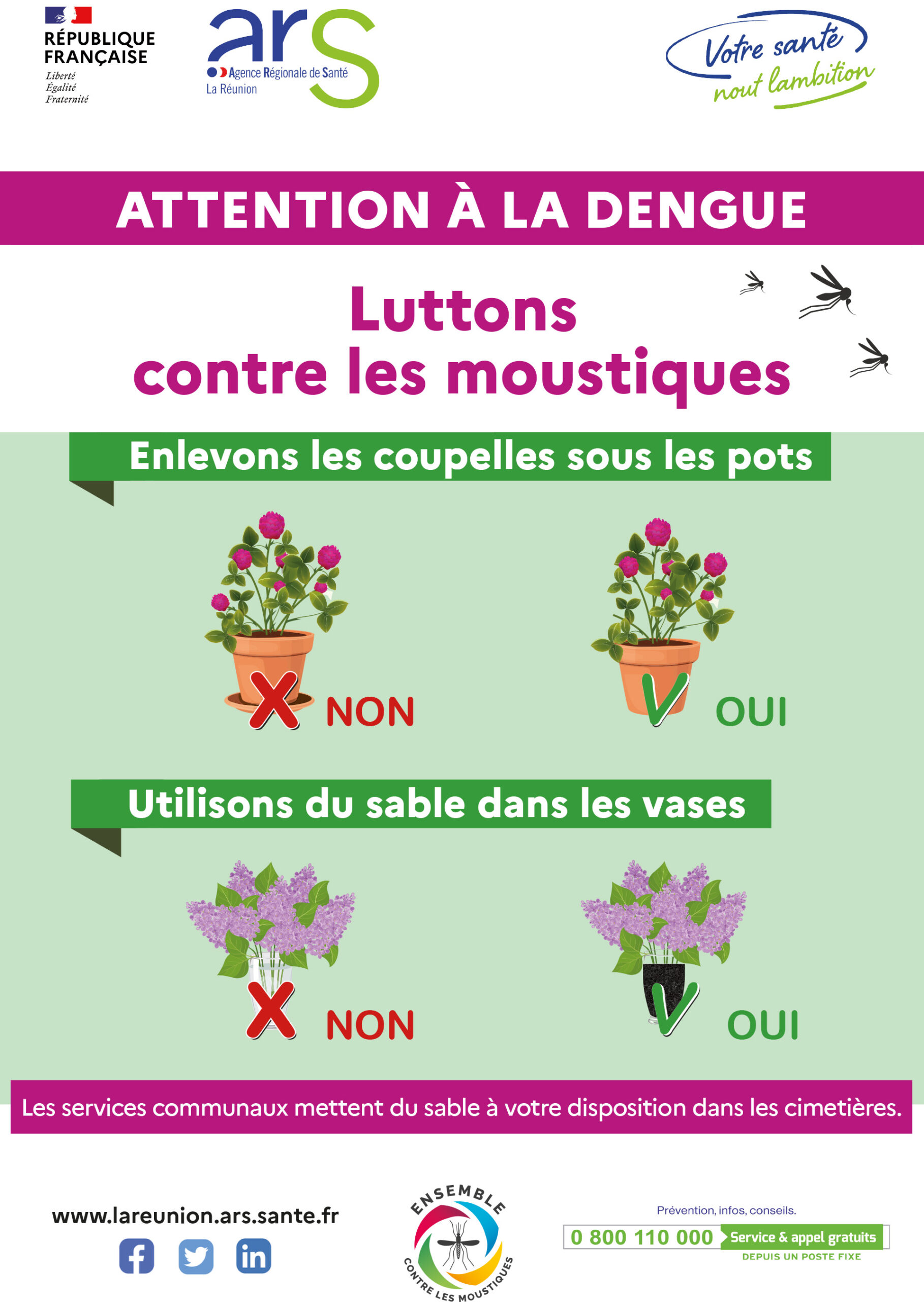 affiche toussaint Attention dengue