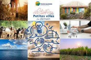 Votre perception de la ville de Trois Bassins