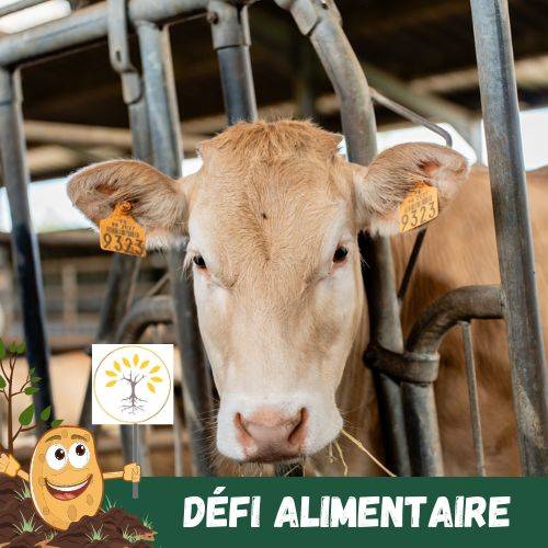 défi alimentaire n°2