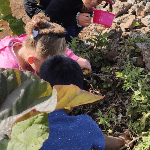 enfants Montvert 1