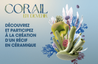 CORAIL EN DEVENIR