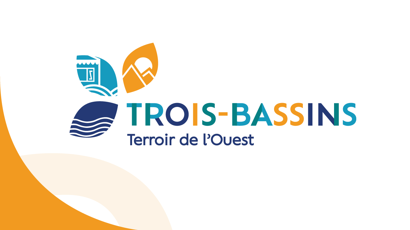 logo-troisbassins