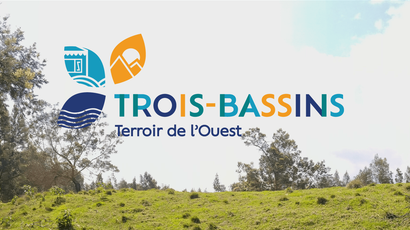 logo-troisbassins_1