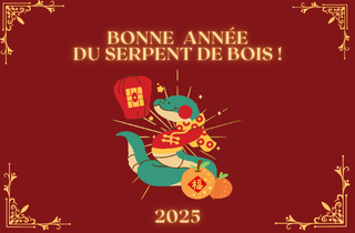 Nouvel an chinois - année du serpent de bois 2025