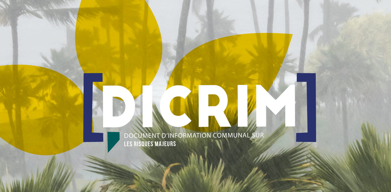 page-dicrim-webdesign