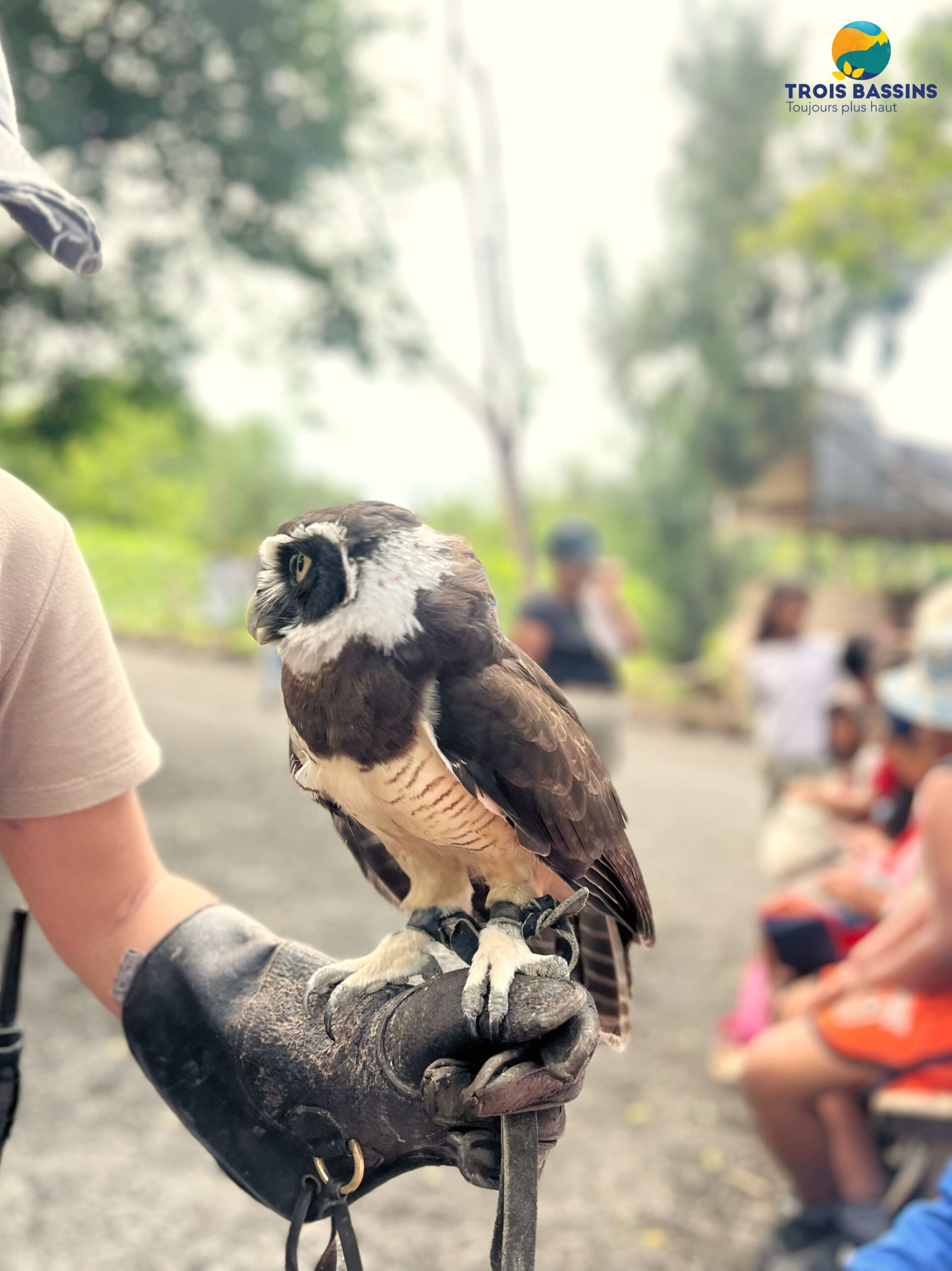 DRE sortie zooparc8 DRE sortie zooparc8
