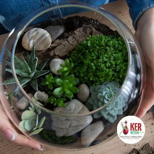 🌱 Crée ton mini-jardin façon Tsuboniwa ! Samedi 21 mars à 10h – dès 8 ans. Inscription obligatoire.