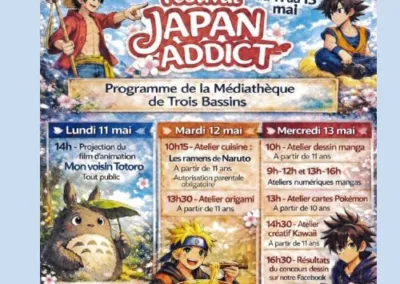 FESTIVAL JAPAN ADDICT