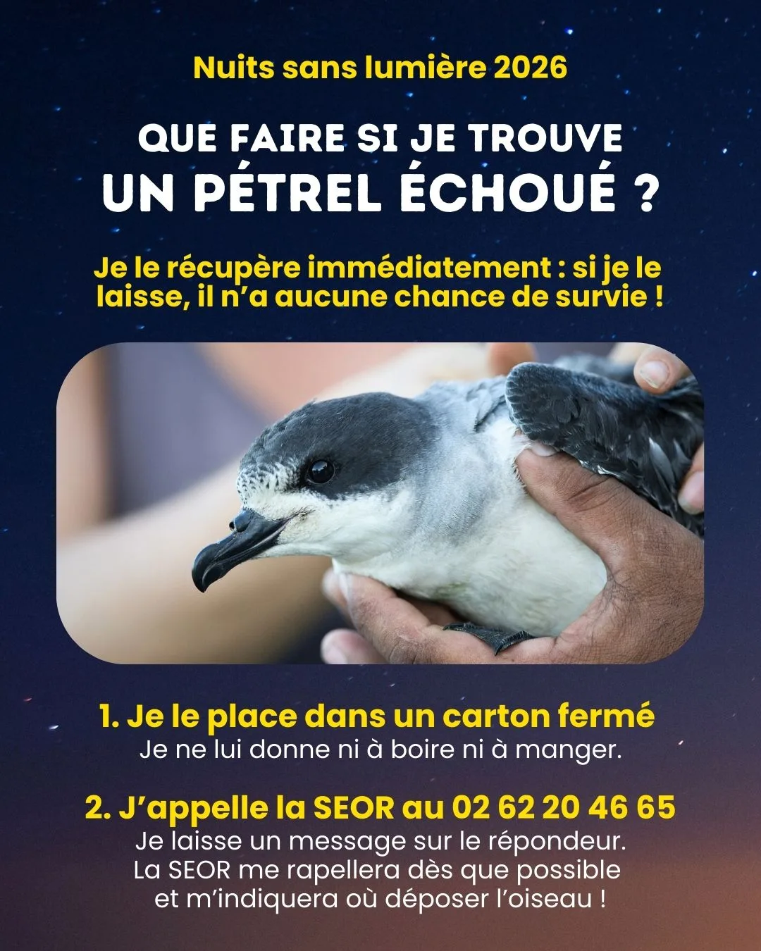 nuits sans lumières SEOR