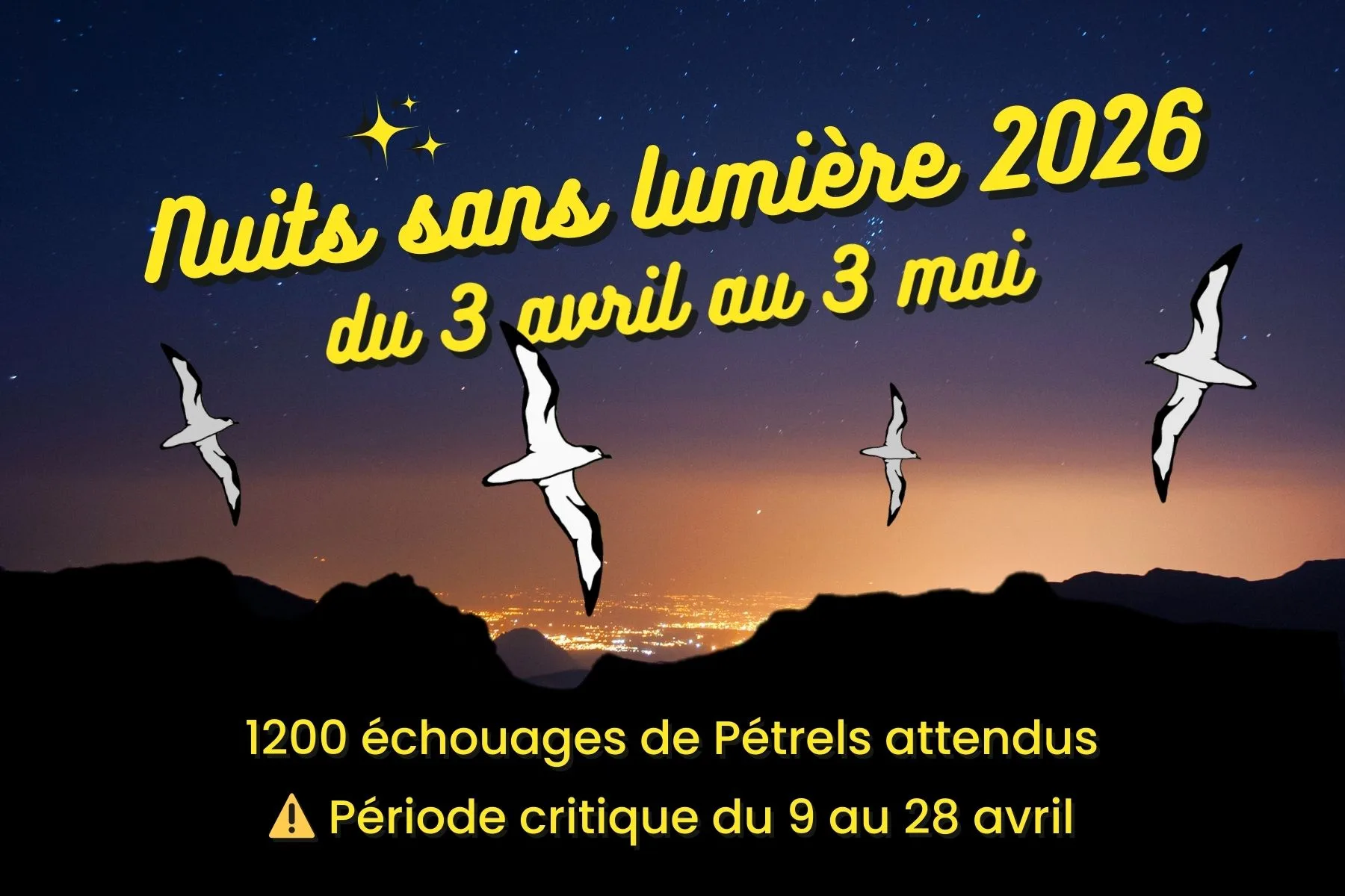 Nuits sans lumière 2026 post horizontal